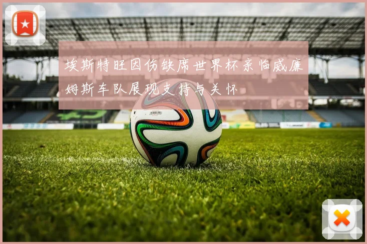 埃斯特旺因伤缺席世界杯亲临威廉姆斯车队展现支持与关怀