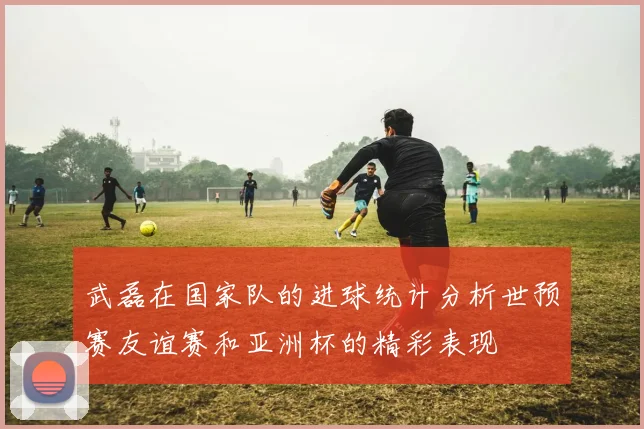 武磊在国家队的进球统计分析世预赛友谊赛和亚洲杯的精彩表现